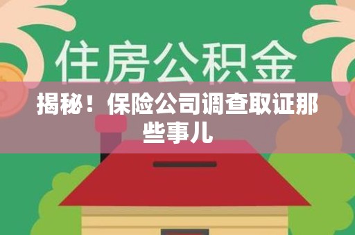 仓山揭秘！保险公司调查取证那些事儿