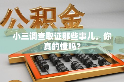 仓山小三调查取证那些事儿，你真的懂吗？