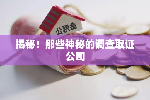 仓山揭秘！那些神秘的调查取证公司