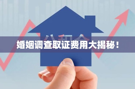 仓山婚姻调查取证费用大揭秘！