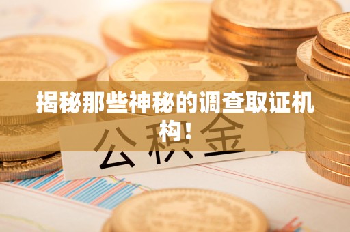 仓山揭秘那些神秘的调查取证机构！
