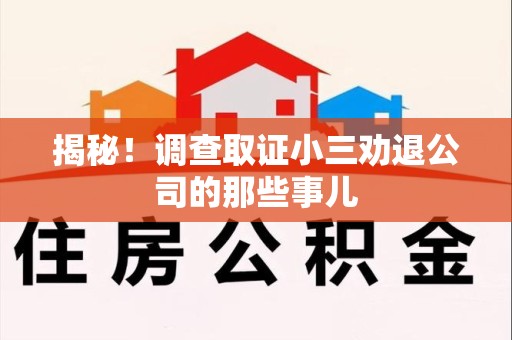 仓山揭秘！调查取证小三劝退公司的那些事儿