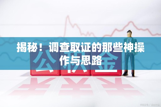 仓山揭秘！调查取证的那些神操作与思路