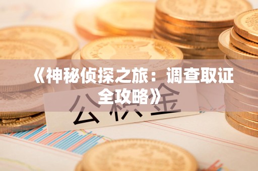仓山《神秘侦探之旅：调查取证全攻略》