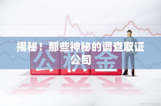 仓山揭秘！那些神秘的调查取证公司