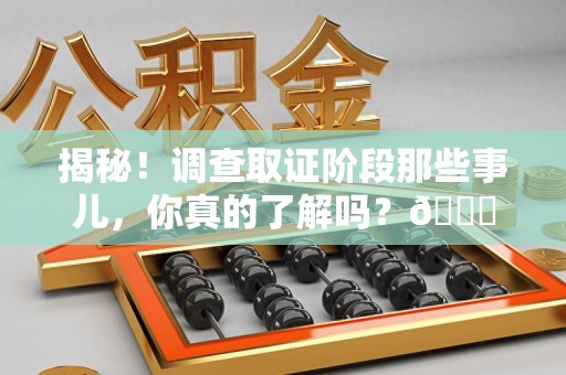 仓山揭秘！调查取证阶段那些事儿，你真的了解吗？😎