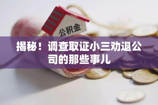 仓山揭秘！调查取证小三劝退公司的那些事儿