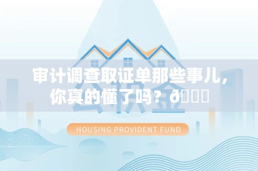 仓山审计调查取证单那些事儿，你真的懂了吗？😎
